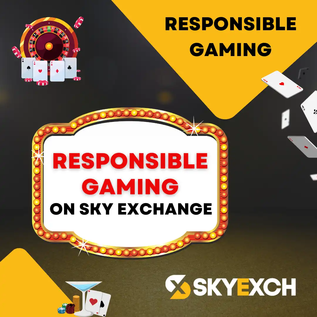 responsible gaming skyexch